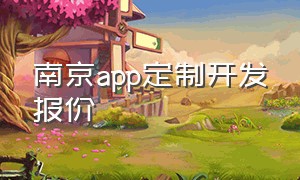 南京app定制开发报价（南京app软件定制开发的公司哪家好）