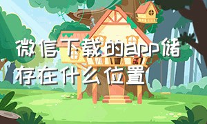 微信下载的app储存在什么位置