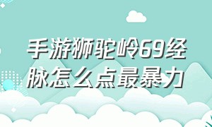 手游狮驼岭69经脉怎么点最暴力