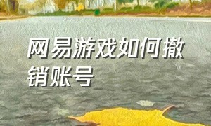 网易游戏如何撤销账号（怎么注销自己的网易游戏账号）