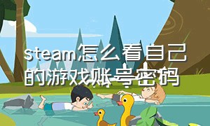 steam怎么看自己的游戏账号密码