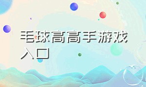 毛球高高手游戏入口