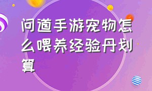 问道手游宠物怎么喂养经验丹划算