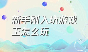 新手刚入坑游戏王怎么玩