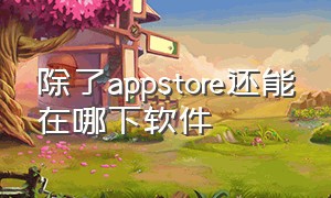 除了appstore还能在哪下软件