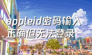 appleid密码输入正确但无法登录（appleid密码在哪里查看）