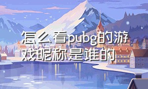 怎么看pubg的游戏昵称是谁的（pubg被封怎么看自己的游戏名字）