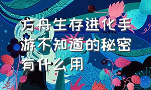 方舟生存进化手游不知道的秘密有什么用