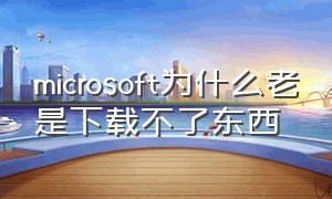 microsoft为什么老是下载不了东西