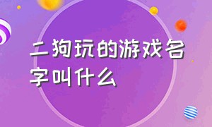 二狗玩的游戏名字叫什么（二狗玩的游戏名字叫什么好听）