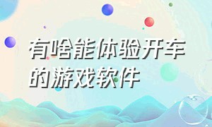 有啥能体验开车的游戏软件（推荐非常真实的开车游戏）