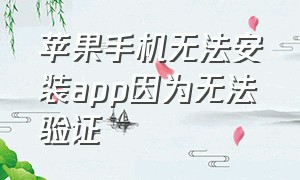 苹果手机无法安装app因为无法验证