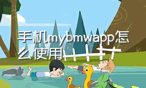 手机mybmwapp怎么使用