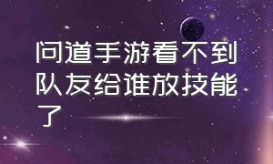 问道手游看不到队友给谁放技能了（问道手游看不到队友给谁放技能了怎么回事）