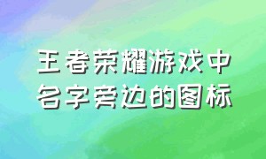 王者荣耀游戏中名字旁边的图标