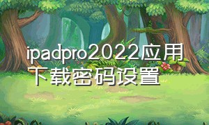 ipadpro2022应用下载密码设置