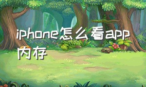 iphone怎么看app内存