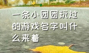 一条小团团玩过的游戏名字叫什么来着（一条小团团解说的是什么游戏）