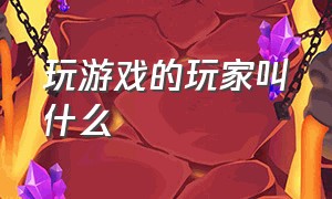 玩游戏的玩家叫什么