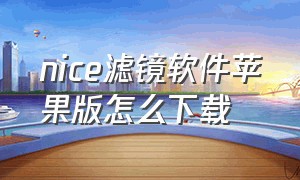 nice滤镜软件苹果版怎么下载