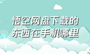 悟空网盘下载的东西在手机哪里（悟空网盘下载的app存在手机上）