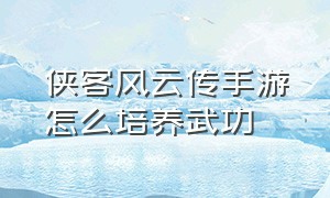 侠客风云传手游怎么培养武功（侠客风云传手游单机）