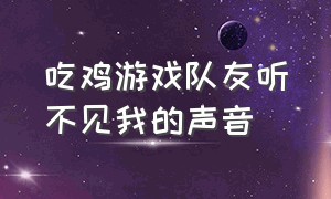 吃鸡游戏队友听不见我的声音