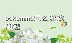 pokemmo怎么游戏加速（pokemmo游戏内怎么加速）