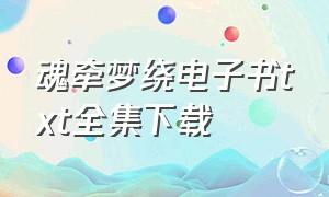 魂牵梦绕电子书txt全集下载