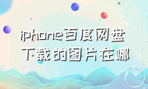 iphone百度网盘下载的图片在哪