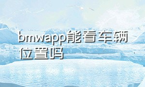 bmwapp能看车辆位置吗（宝马app的地图显示的是车辆位置吗）