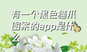 有一个黑色猫爪图案的app是什么