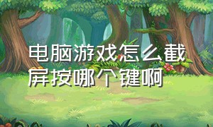 电脑游戏怎么截屏按哪个键啊