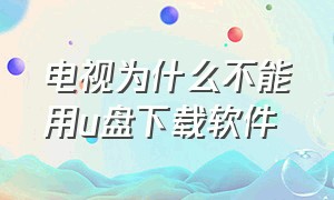 电视为什么不能用u盘下载软件