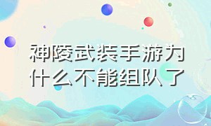 神陵武装手游为什么不能组队了