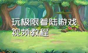 玩极限着陆游戏视频教程