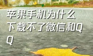 苹果手机为什么下载不了微信和QQ