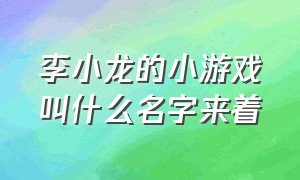 李小龙的小游戏叫什么名字来着