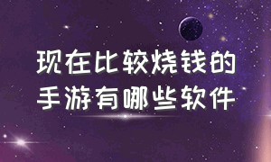 现在比较烧钱的手游有哪些软件（目前手游圈子哪个最烧钱）