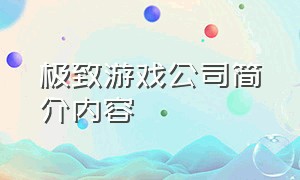 极致游戏公司简介内容