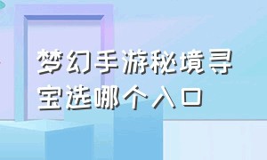 梦幻手游秘境寻宝选哪个入口