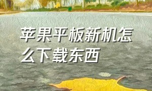 苹果平板新机怎么下载东西（新买的苹果平板怎么下载东西）