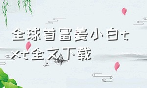 全球首富姜小白txt全文下载