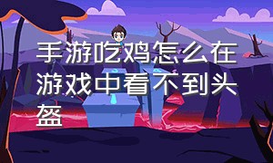 手游吃鸡怎么在游戏中看不到头盔