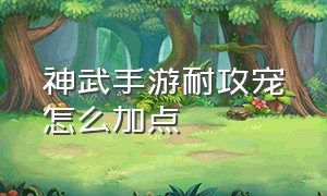 神武手游耐攻宠怎么加点