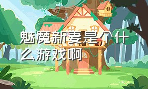 魅魔新妻是个什么游戏啊