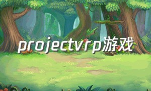 projectvrp游戏