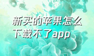 新买的苹果怎么下载不了app