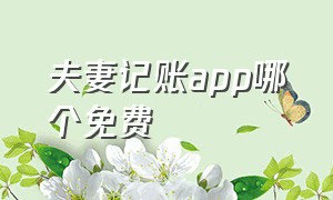 夫妻记账app哪个免费（夫妻记账app哪个免费好用）