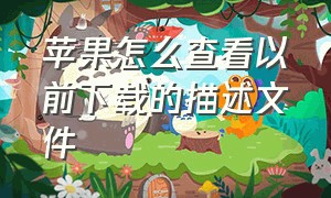 苹果怎么查看以前下载的描述文件